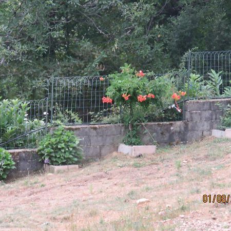 L'Altore Di Savaghju Vivario  Bagian luar foto